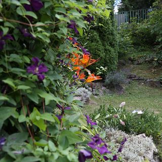 Malomvölgy Vendégház Tardos (4)