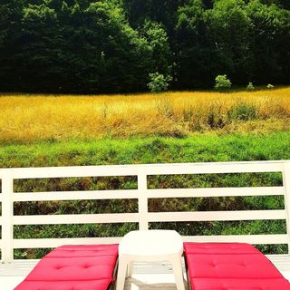 Pensiunea Ursuleț Bran (4)