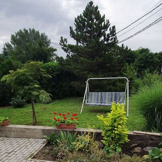 T.bor Vendégház Nagyréde (4)