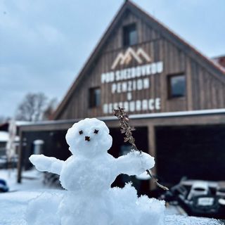 Penzion a Restaurace Pod Sjezdovkou Čenkovice (4)