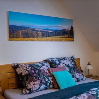 Ski Apartma v Říčkách Říčky v Orlických horách (2)