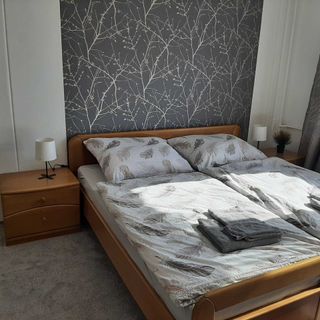 Apartmán Helena Harrachov (3)