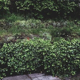 Erdőalja Vendégház Bogács (3)