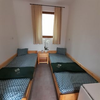 Zebegényi Erdei Sátortábor és Szálláshely Zebegény (2)