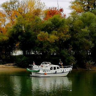 Zebegényi Erdei Sátortábor és Szálláshely Zebegény (5)