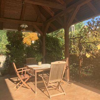 Vadrózsa Apartman Üröm (4)