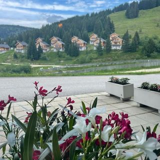 Hotel Koralpe Wolfsberg (2)