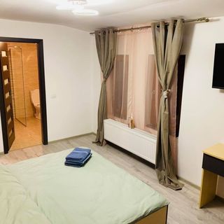 Tudor's House Călimănești (5)