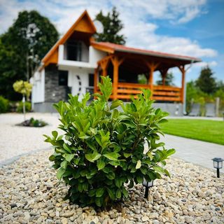 Évi Vendégház Dunakanyar Pilismarót (5)