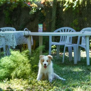 Mikola Vendégház Pálosvörösmart (5)