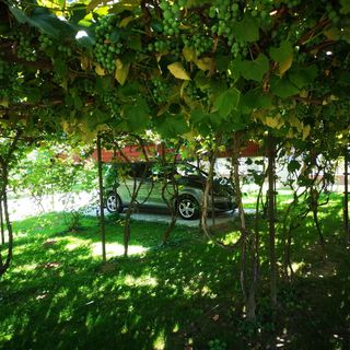 Bagolyvár Vendégház Magyarszombatfa*** (3)