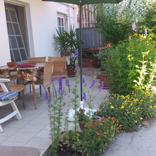 Gabi Apartman Fonyód (2)