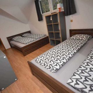 Vila u Kubíka Jindřichov (5)