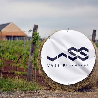 Vass Villa Vendégház és Pincészet Felsőörs (5)
