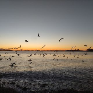 Apartman Rosie Podstrana (2)