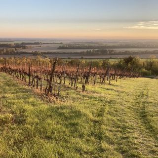 Dióhéj Vendégház Diósviszló (2)