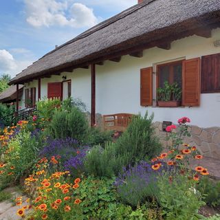 Dániel Vendégháza Pákozd (3)