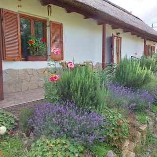 Dániel Vendégháza Pákozd (4)