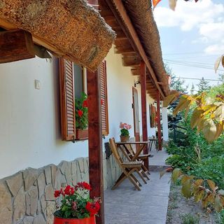 Dániel Vendégháza Pákozd (5)