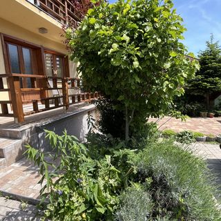 Harmónia Vendégház Igal (3)