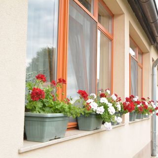 Neuhercz Apartmanok Halászi (2)