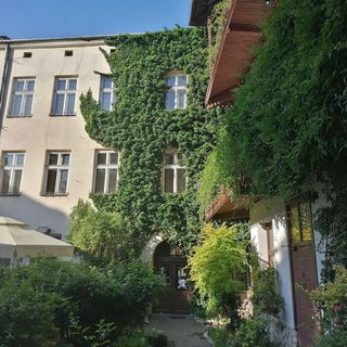 Globtroter Guest House Kraków (5)