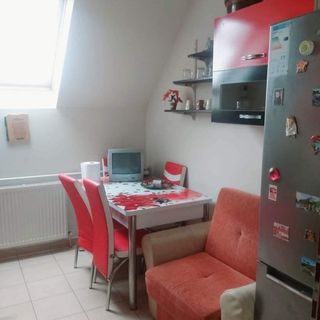 Apartament Sarah Oțelu Roșu (5)