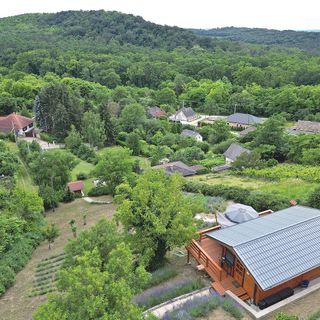 Szajkó Fakuckó*** Tamási (5)