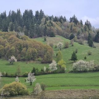 Casa de oaspeți Subcetate Ghimeș-Făget (2)