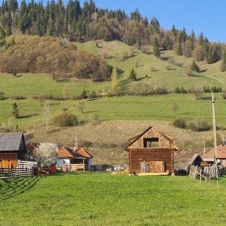 Casa de oaspeți Subcetate Ghimeș-Făget (4)