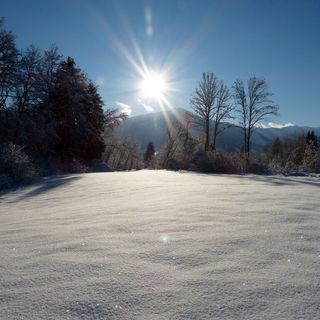 Hotel die Traube Admont (3)