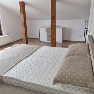 Casa de oaspeți Minerva Deva (4)