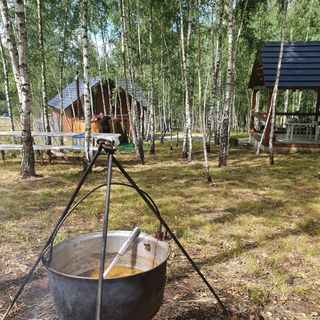 Cabana Cu Mesteceni Văleni (2)