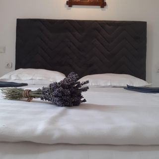 Pensiune Agroturistică Bori Gura Humorului (4)