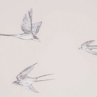 Vlaštovčí dům Nové Město nad Metují (3)