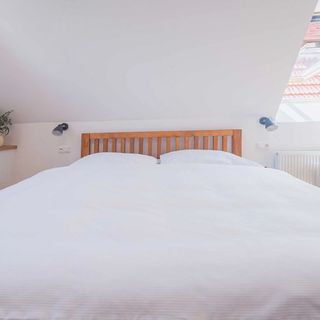 Vlaštovčí dům Nové Město nad Metují (5)