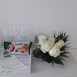 Apartment Mangia Constanța (3)