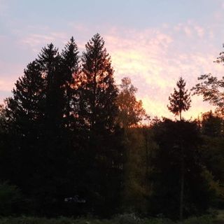 Omszałe Głazy Zachełmie (4)