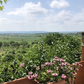 Napsugár Birtok Csákberény (4)