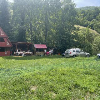 Cabana Trei Paltini Poiana Vadului (2)