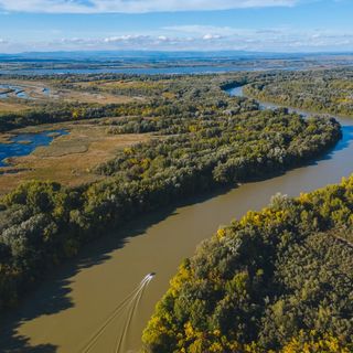 Kormorán Lombházak Tiszafüred (3)