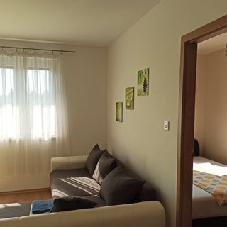 Nagyerdő Simonyi úti Apartman Debrecen (4)