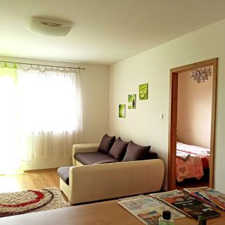 Nagyerdő Simonyi úti Apartman Debrecen (5)