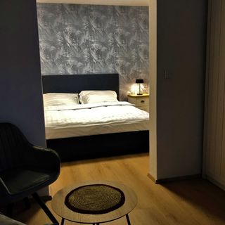 Lady apartments Liberec (4)