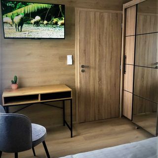 Lady apartments Liberec (3)