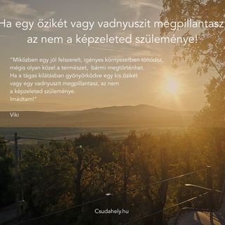 Csudahely Vendégház Dunabogdány (2)