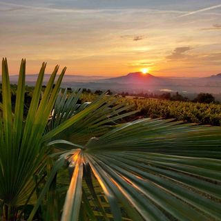 Ardo Élménybirtok Balatonederics (2)