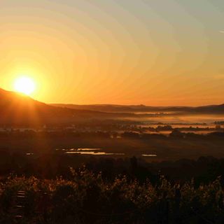 Ardo Élménybirtok Balatonederics (4)