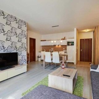 Apartment Bonita Tále Bystrá (5)