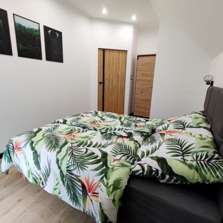 Domek Jelonkowo Brenna (4)